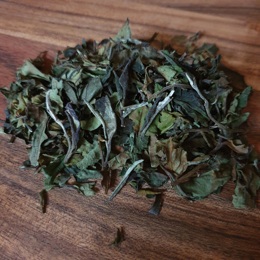 How to choose the best green tea for you