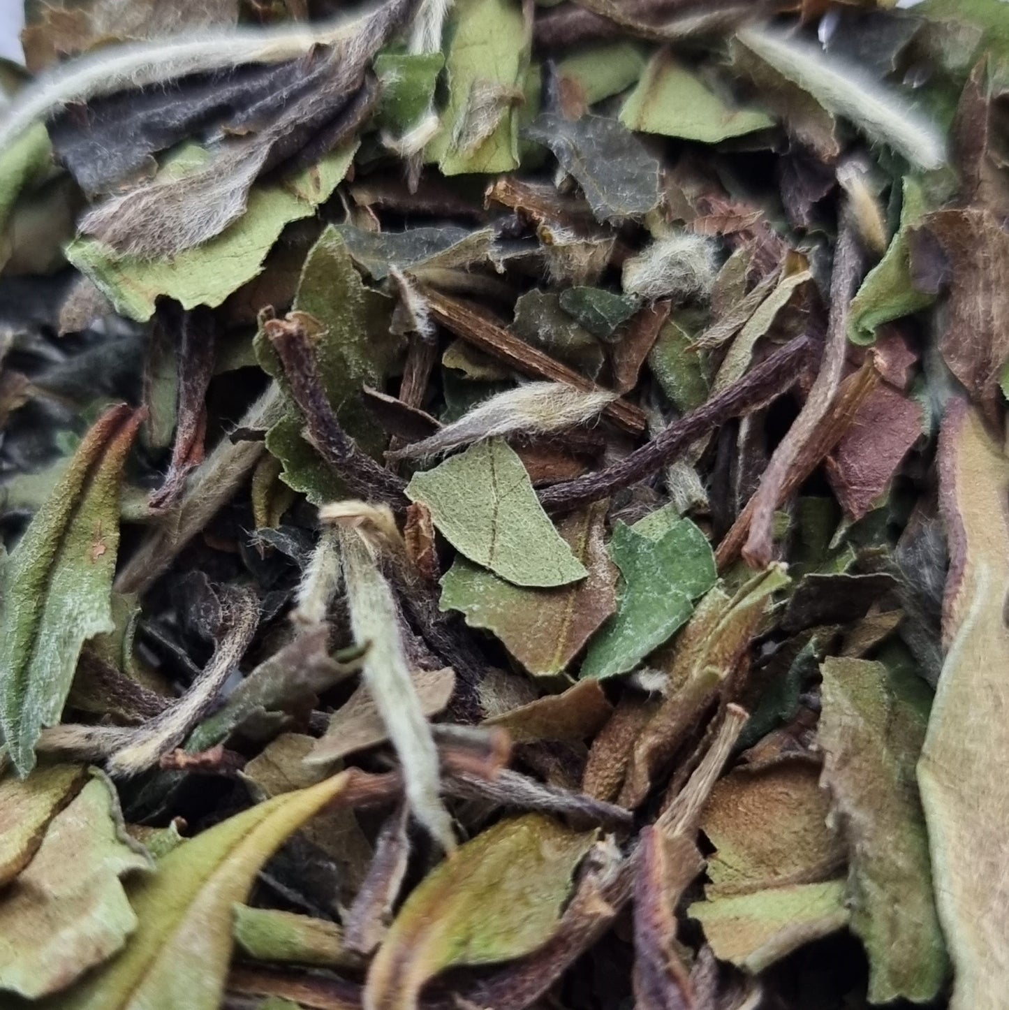 PAI MU TAN (WHITE PEONY)