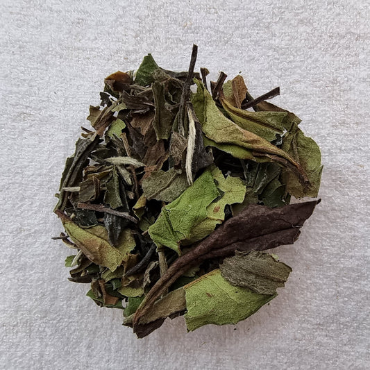 PAI MU TAN (WHITE PEONY)